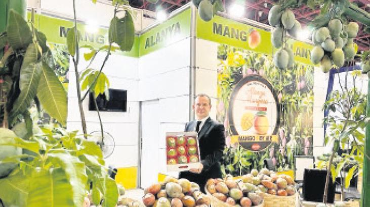 Mango ihracatında ‘milyarlık’ fırsat var