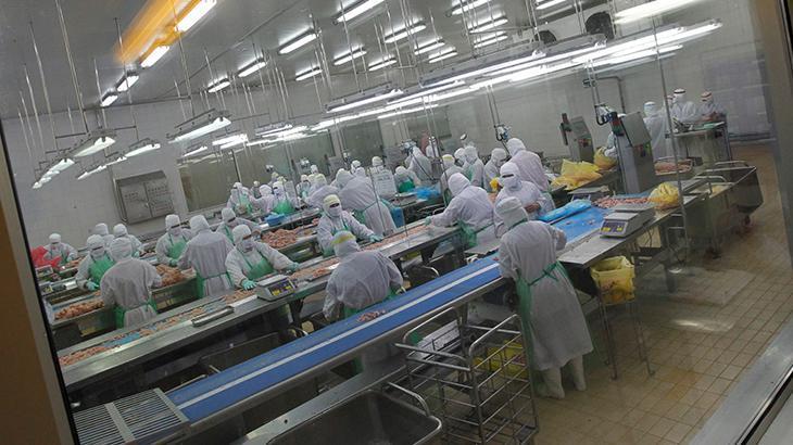 Japonya’da kuş gribi patlak verdi! 72 bin kümes hayvanına itlaf kararı