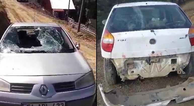 Trabzon, Gümüşhane şimdi de Artvin! Aç kalan ayılar dehşet saçtı