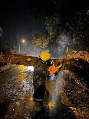 İstanbul’da fırtına etkisi! İBB ekipleri 2 bin 921 ihbara müdahale etti