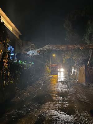 İstanbul’da fırtına etkisi! İBB ekipleri 2 bin 921 ihbara müdahale etti