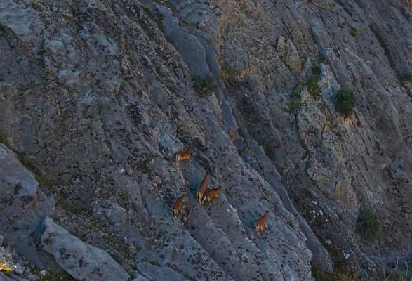 9 milyon yıllık kanyon! Havadan böyle görüntülendiler