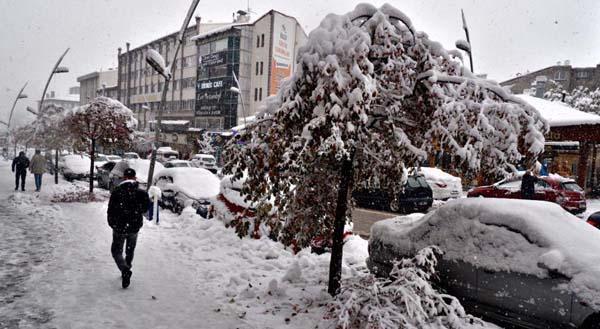 Erzurum'da kar esareti! Hayat durma noktasına geldi