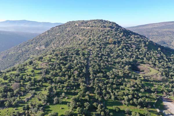 Heyecanlandıran keşif! Kazı çalışmalarında ortaya çıktı