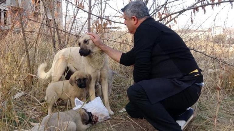 Yozgat'ta iç ısıtan görüntü! İlk önce yavrularını düşündü
