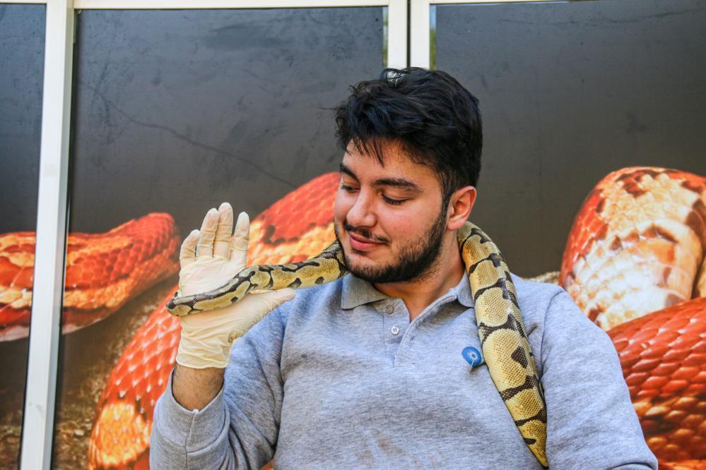 Antalya'da evin giriş kapısındaki 'kral piton' şoke etti