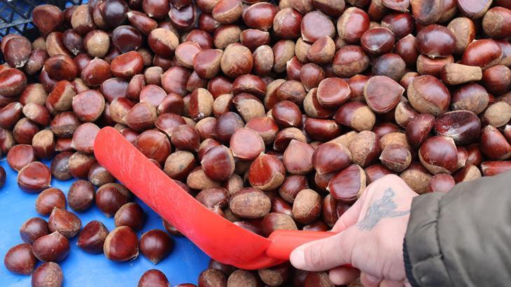 Kestane pazarda yerini aldı! Kilosu 150 TL