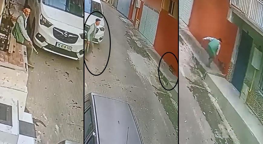 İzmir’de vahşet! Sokak kedisine keserle saldırdı, dereden ölü yavru kediler çıktı