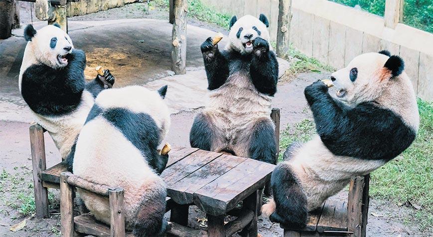 Üreyecek kadar enerjileri yok