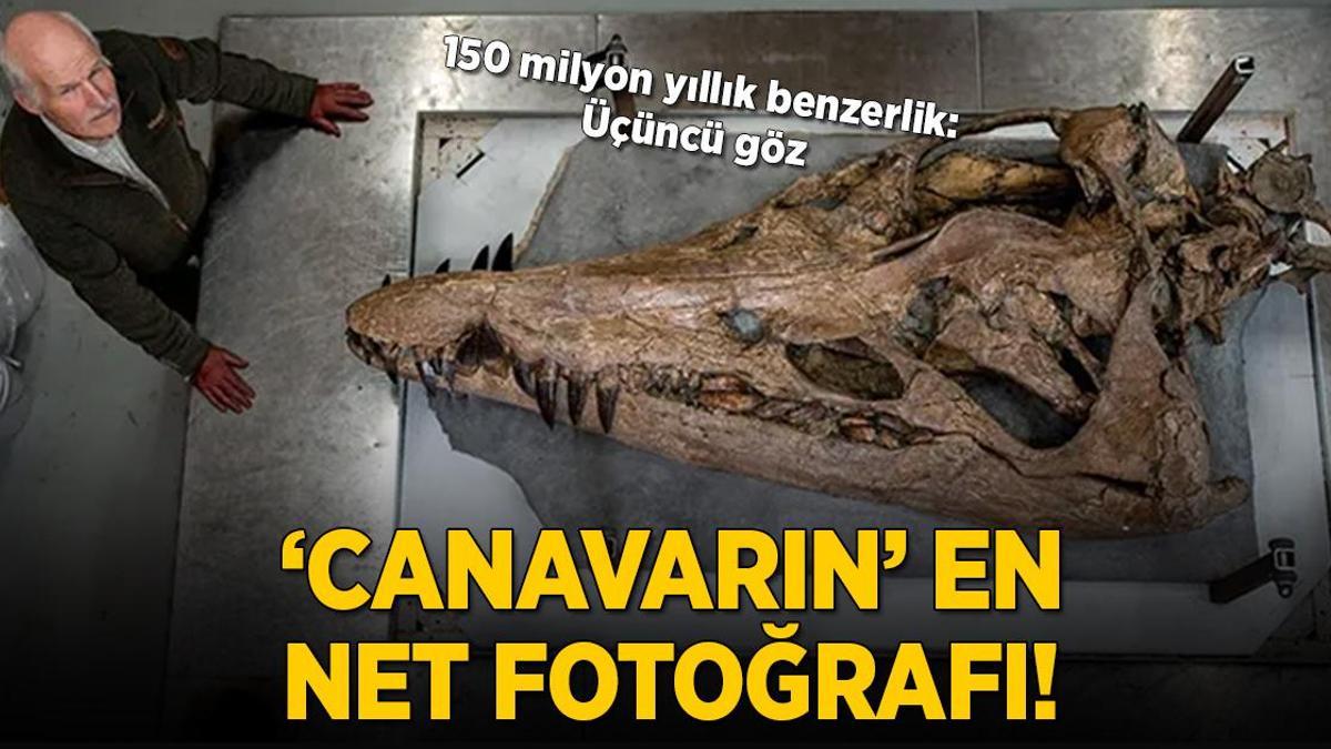 ‘Canavarın’ en net fotoğrafı! 150 milyon yıllık üçüncü göz ortaya çıktı
