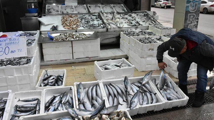 Palamudun tanesi 200 lira