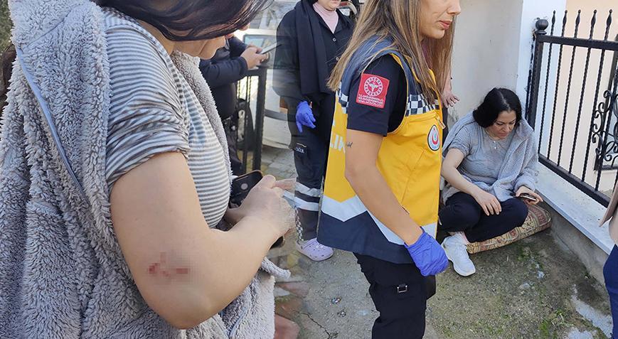 Aydın’da Pitbull dehşeti! Saldırdığı köpeğin sahibini yaraladı