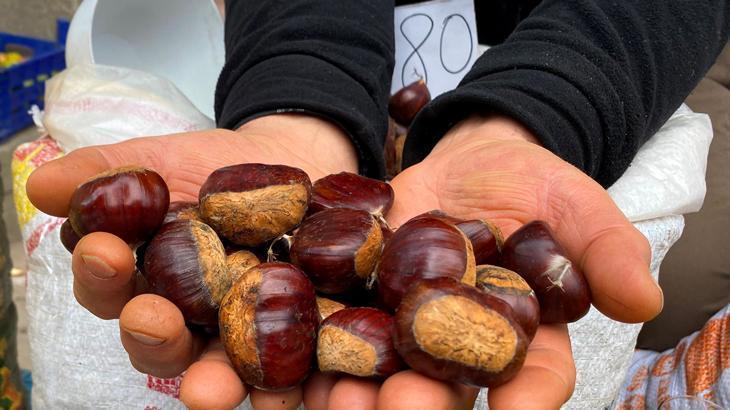 Kestanede düşük rekolte