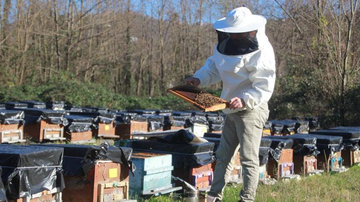Arıcılar yeni sezona hazırlanıyor