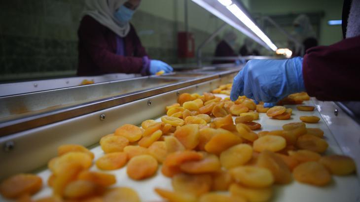 Malatya’da kayısı yüz güldürdü