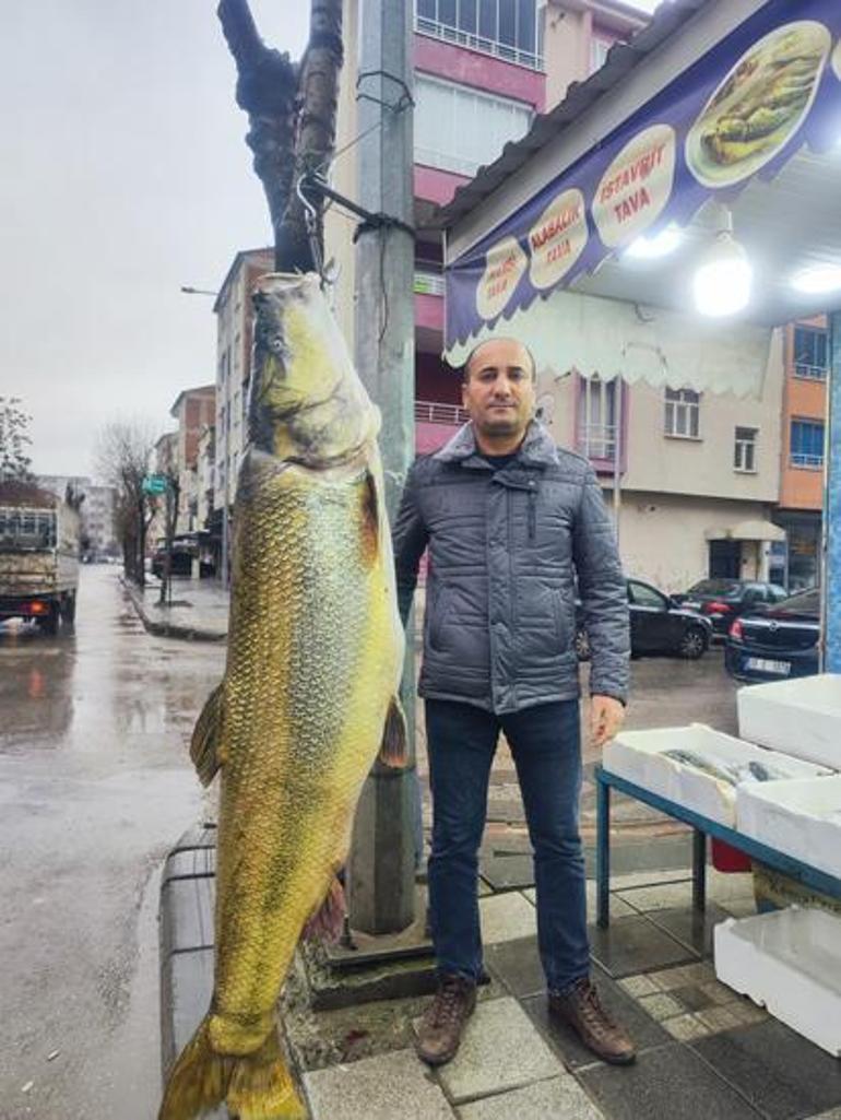 Ağlara takılan dev turna şaşkı çevirdi: Tam 28 yaşında