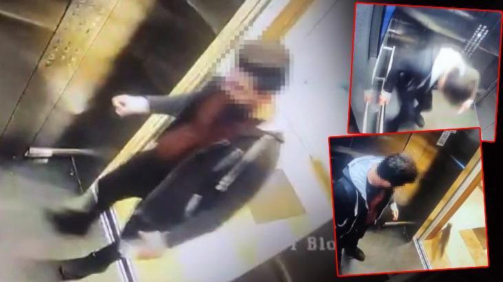 Başakşehir’de dehşet! Asansörde ezip tekmelediği kediyi takip edip öldürdü
