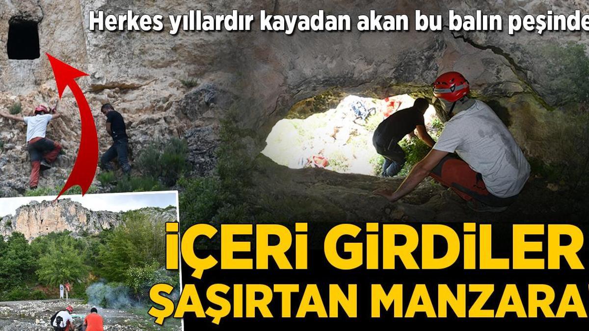 Herkes yıllardır kayadan akan bu balın peşinde! İçeri girdiler, şaşırtan manzara
