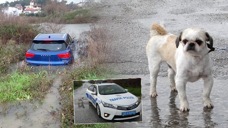Havalaması yetti! Araç sulara gömüldü