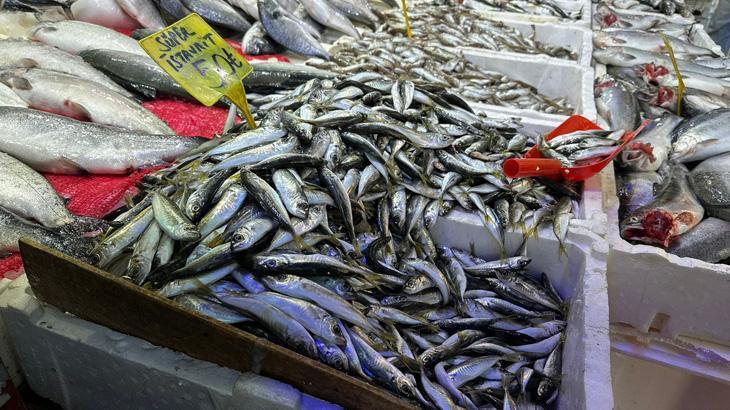 Havaların soğumasıyla vatandaşın balığa ilgisi arttı