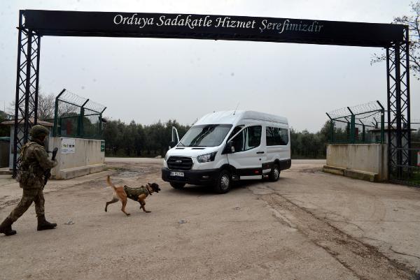 Kahraman köpekler! Eğitimler 3 aylıkken başlıyor