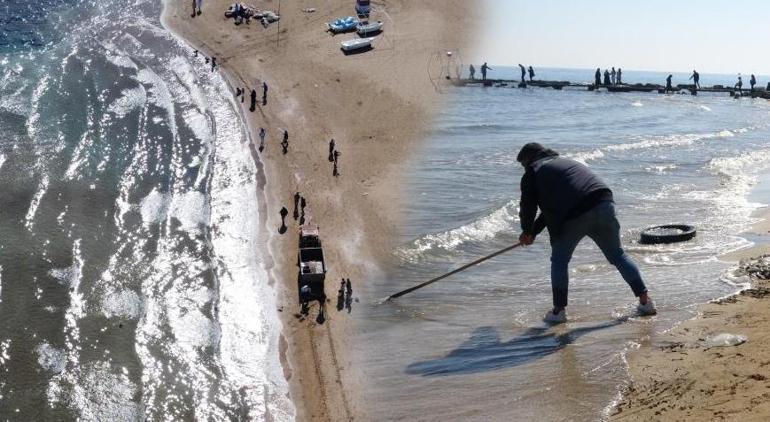 'Bu türler zehirli, kesinlikle dokunmayın' uyarısı gelmişti! Flaş gelişme