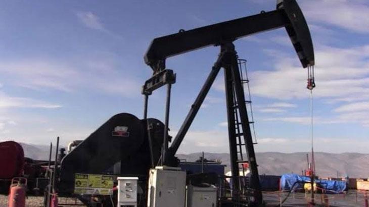 TPAO’nun Siirt’teki 2 sahası için kamulaştırma kararı