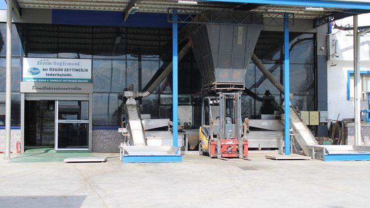 Zeytinyağı sıkım sezonu erken bitti