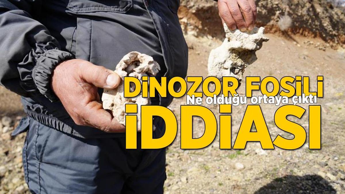 Dinozor fosili sanılmıştı! Niğde’de gerçek ortaya çıktı
