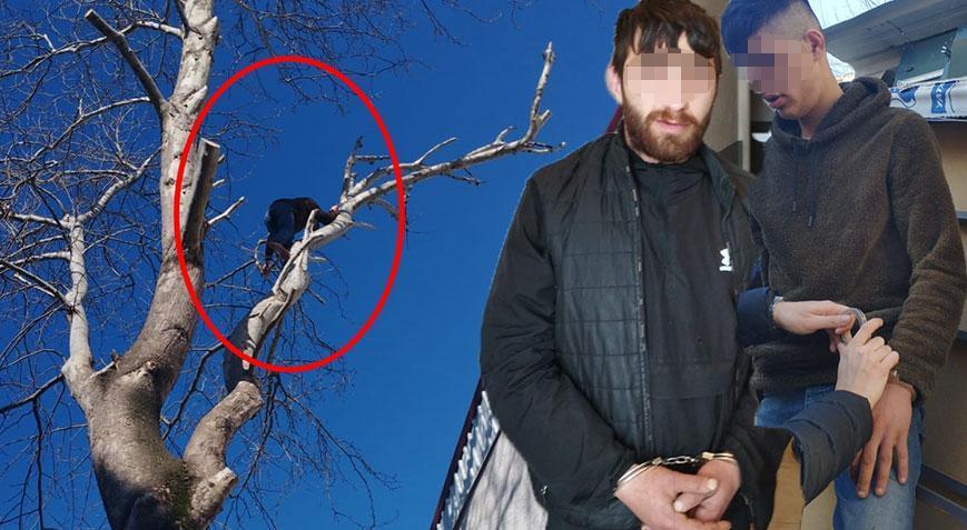 Yer: Bursa! Hırsız yakalanacağını anlayınca ağaca tırmandı