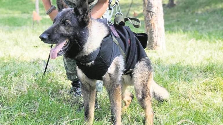 Hafızalardan ve yüreklerden silinmeyecek! 'Bir dakikada dünyam alt üst oldu'