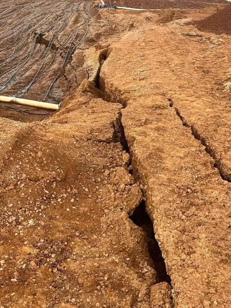 Erzincan'daki maden faciasında skandal savunma: 3 gün sonra gördüm