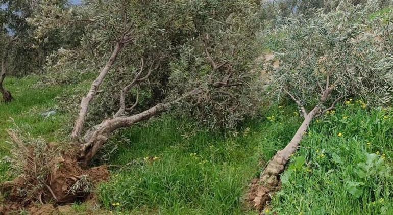 Son dakika... Korku filmi gibi! Devasa hortum bir kenti yıktı: Meteoroloji’den yeni uyarı geldi