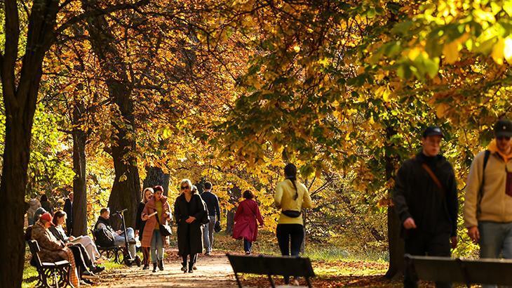 Araştırma ortaya koydu: Günde en az 2 bin 200 adım atmak erken ölüm riskini azaltıyor