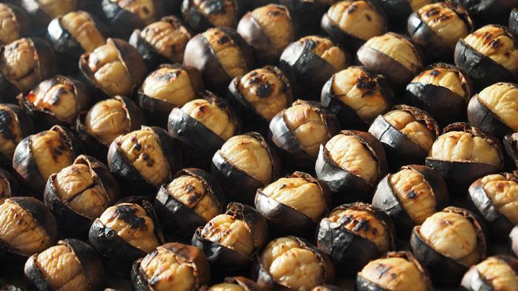 Bursa kestanesi coğrafi işaret aldı