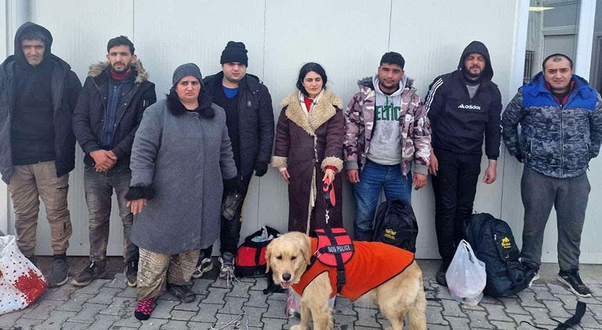 Görme engelli göçmen, Yunanistan’a kaçarken rehber köpeği ile yakalandı