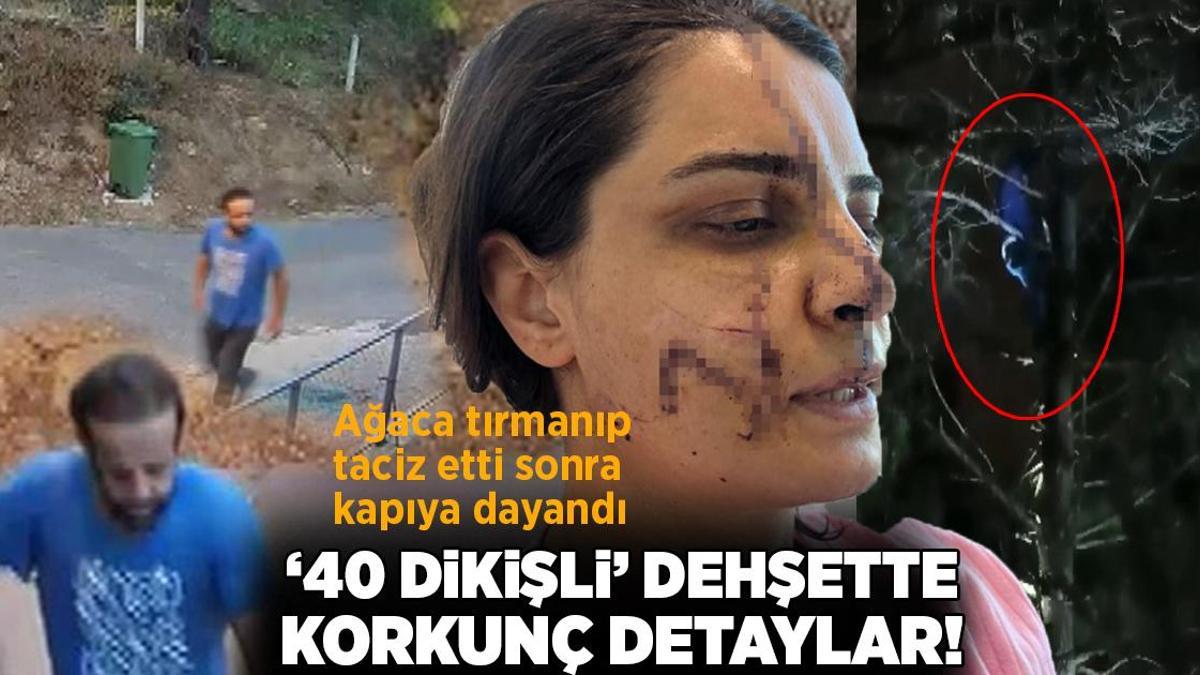 ’40 dikişli’ dehşette korkunç detaylar: Ağaca tırmanıp saklandı, taksiyle kapısına dayandı