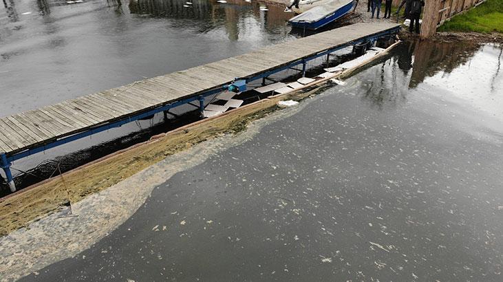 Milyonların içme suyu olan Sapanca Gölü'nde şok! Boru hattı patladı, akaryakıt sız