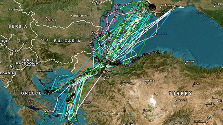 30 yelkovan kuşuna uydu vericisi takıldı