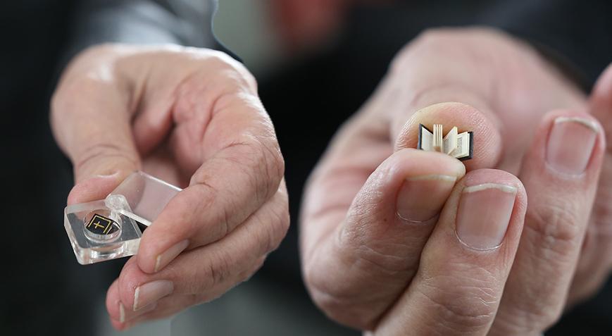 Tırnaktan bile küçük! Boyutu ile görenleri hayrete düşürüyor