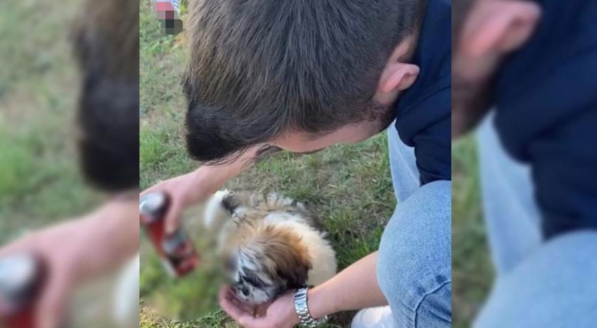 Şoke eden olay! 22 yaşındaki genç köpeğe alkol içirdi