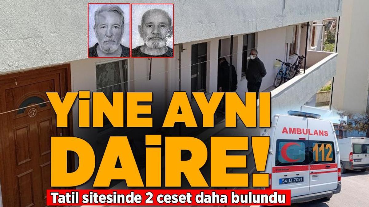 Yer: Sakarya… Yine aynı daire! Tatil sitesinde 2 ceset daha bulundu