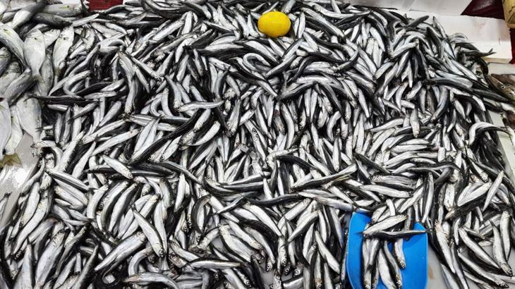 Balıkçılıkta avlanma sezonu 15 Nisan’da sona eriyor