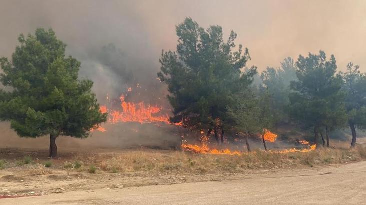 Çanakkale Valiliği uyardı! Orman yangınlarına dikkat