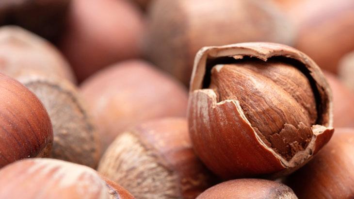 TMO’dan fındık satış kararı!