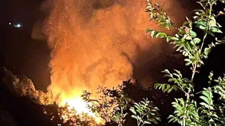 Yalova’da korkutan orman yangını! 2 kişi gözaltına alındı