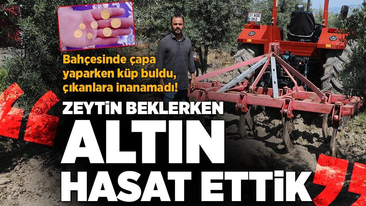 Bahçesinde çapa yaparken küp buldu, çıkanlara inanamadı! ‘Zeytin beklerken, altın hasat ettik’