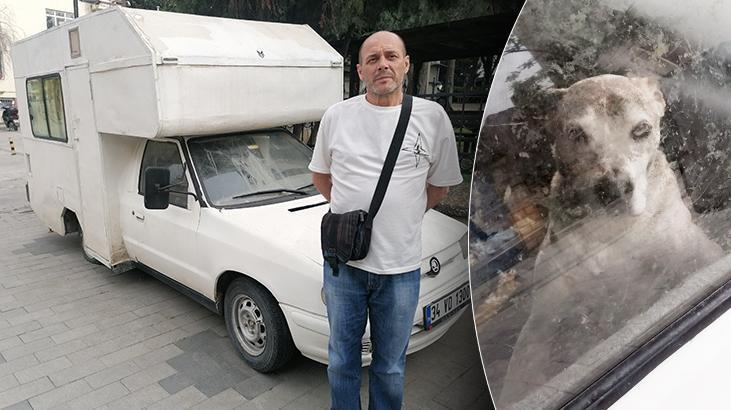 Hayvanseverler ayağa kalktı, sahibi konuştu: İnsanlar karavanda yaşamayı hayal ediyor ama köpeğim yaşıyor