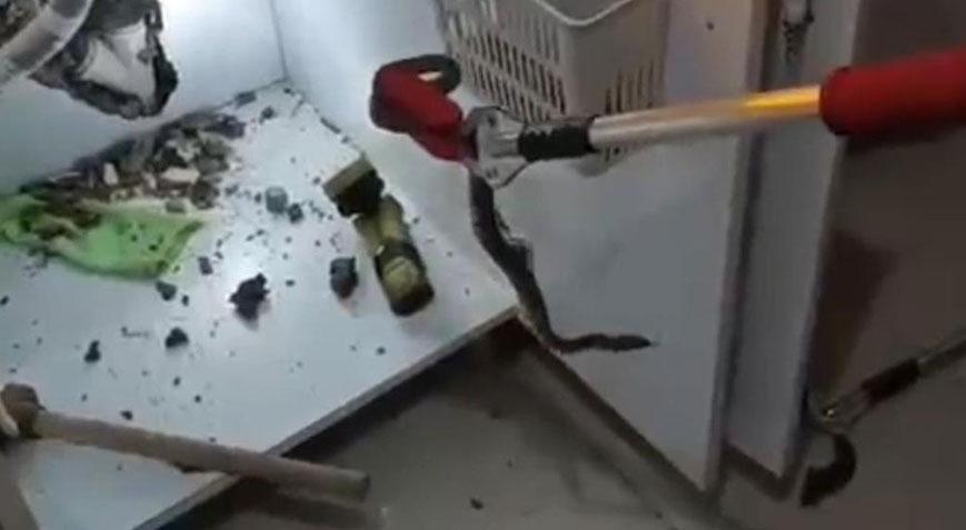 Evin mutfağında yılan operasyonu!