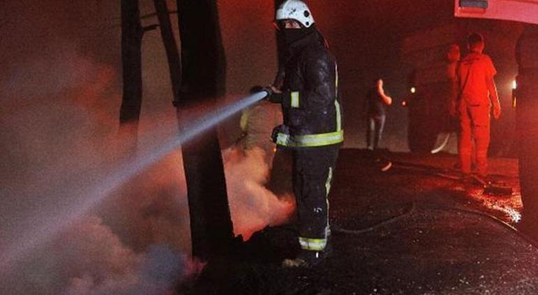 'Orman sevdalısıyım' demişti; orman yakmaktan hapis cezası aldı